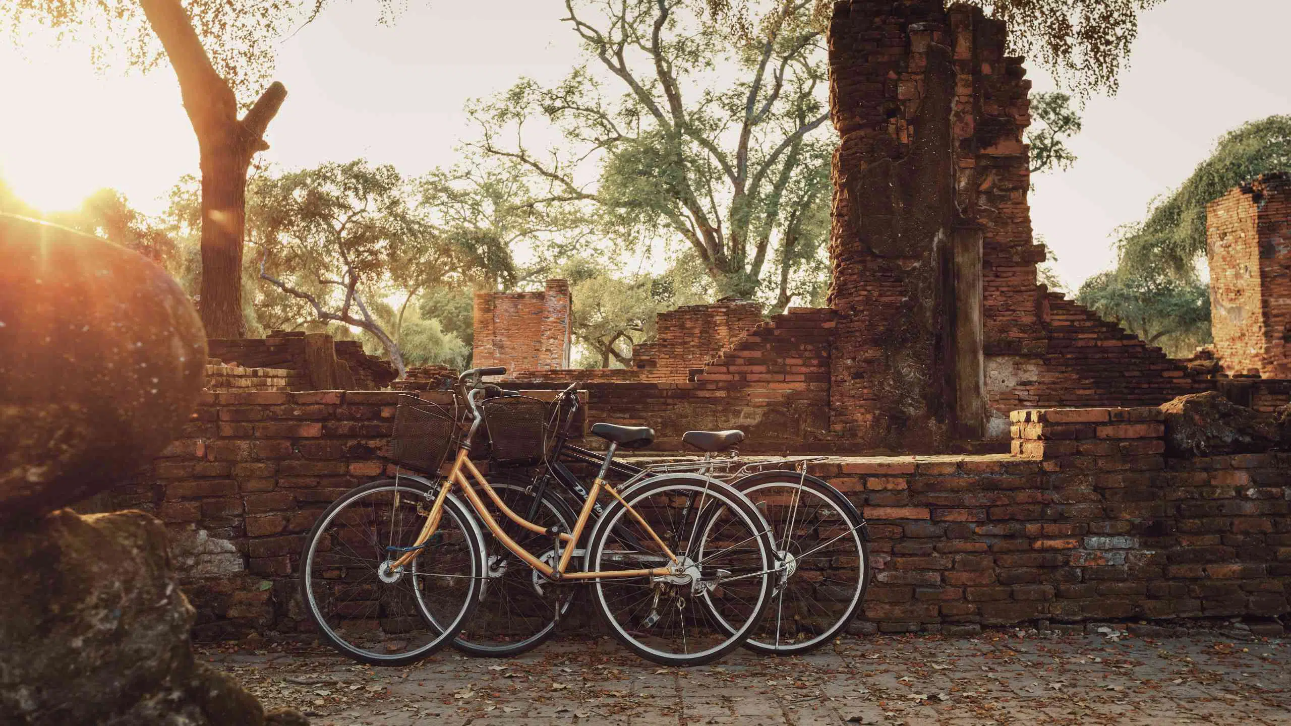 Tourist Bicycle at Wat Phra Si Sanphet temple in Ayutthaya Historical Park