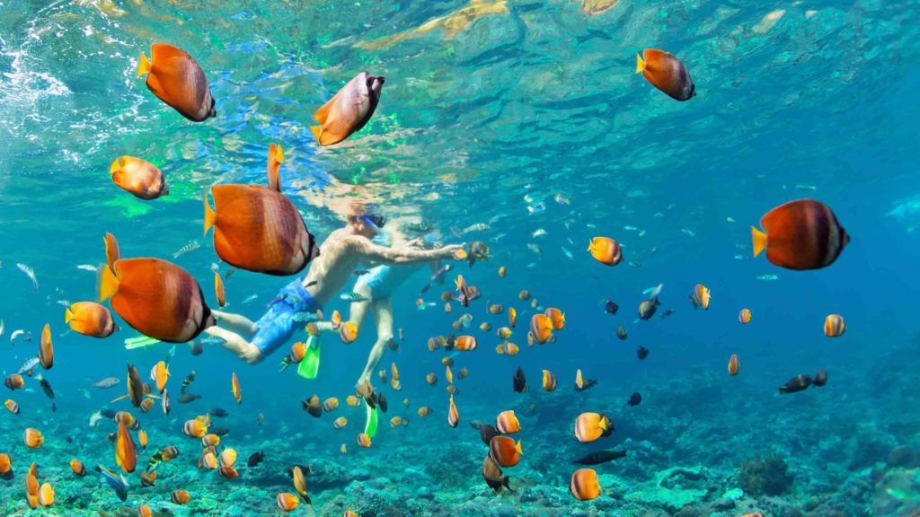 couple in snorkeling masks dive deep underwater with tropical fishes in coral reef sea pool