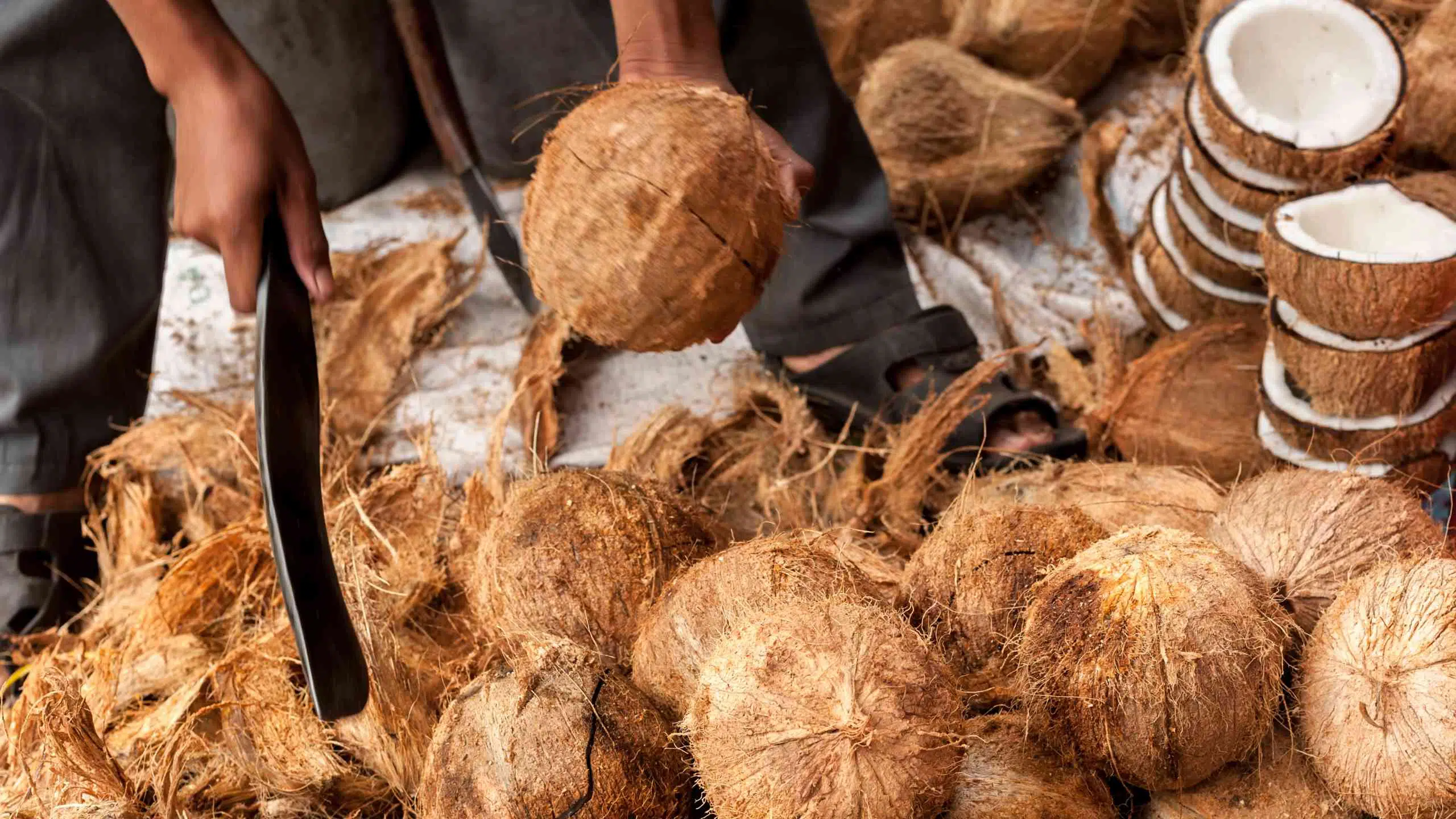 Seller opens tropical coconuts at traditional food marketplace