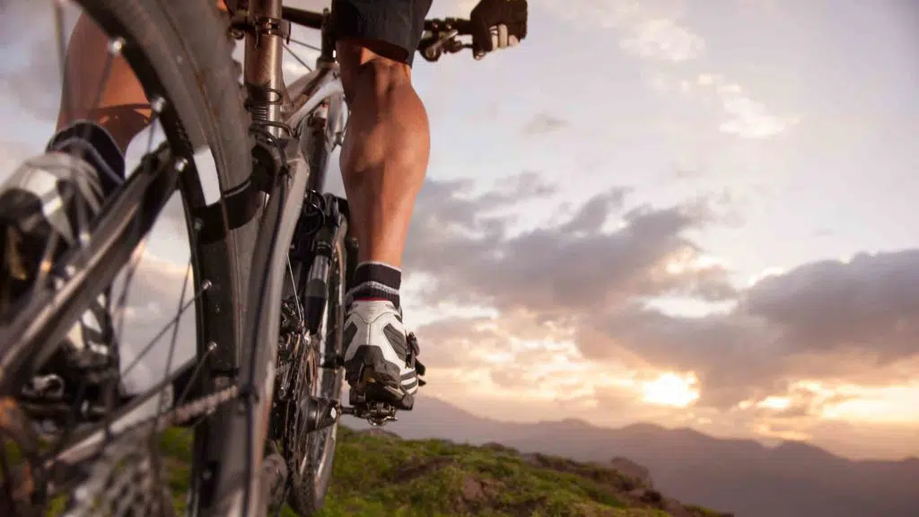 mountain bike legs