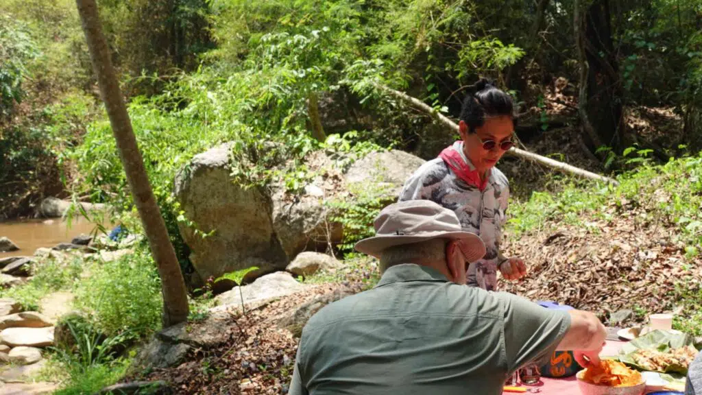 picnic lunch