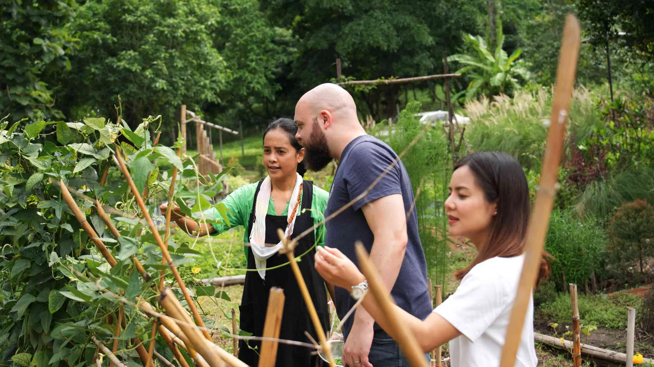 Thai Cooking Master Class with a Local Chef 