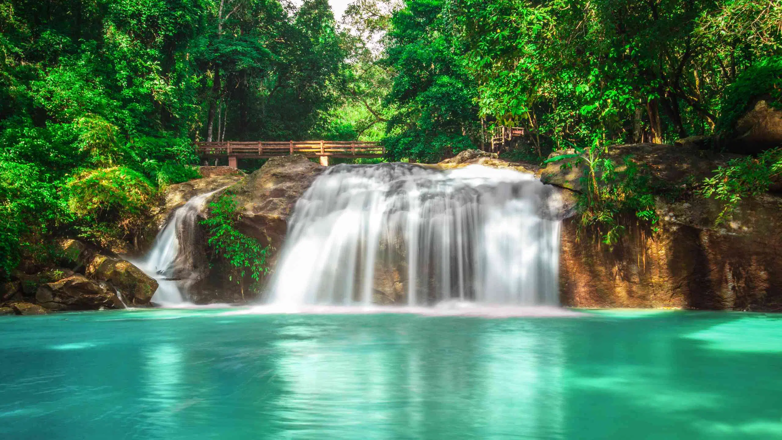 Mae Sa waterfall national park in Mae Rim- Chiang Mai