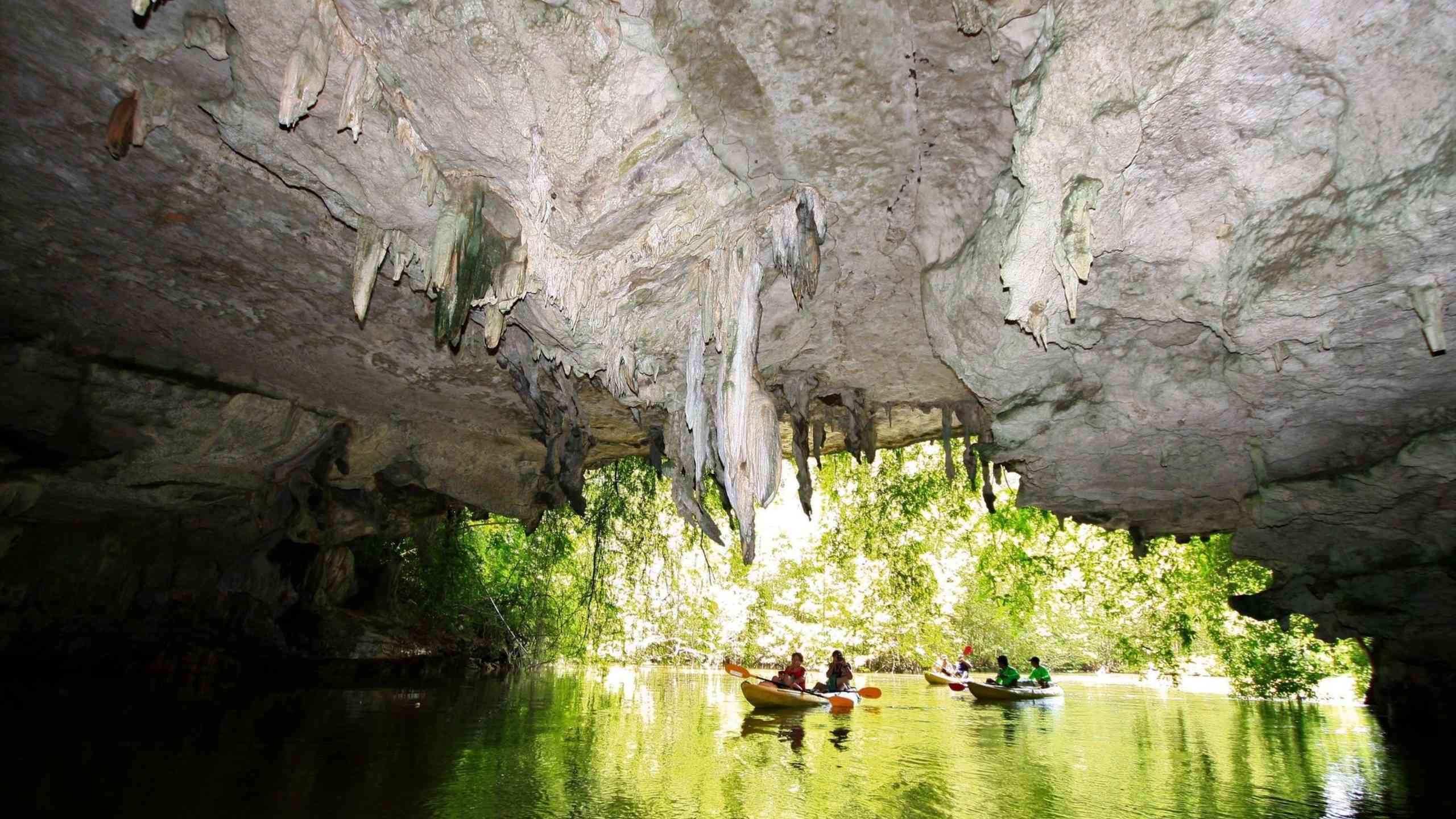 Kayak among Mangroves and Caves in Ban Bothor