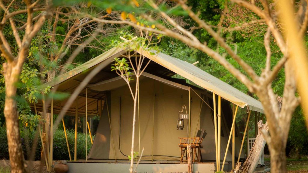 Lala Mukha Tented Resort Khao Yai ECO SAFARI TENT