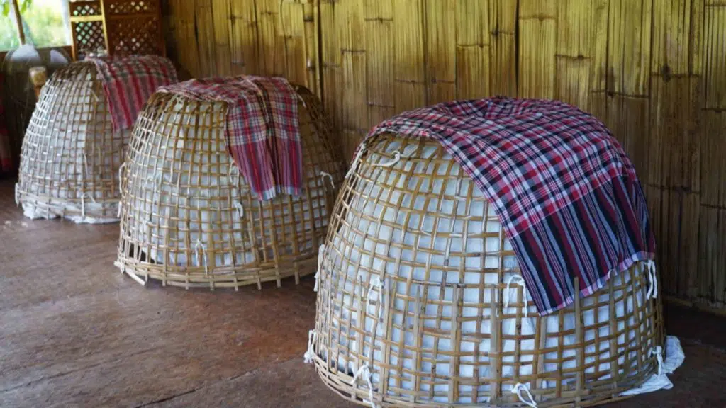 Chicken sauna