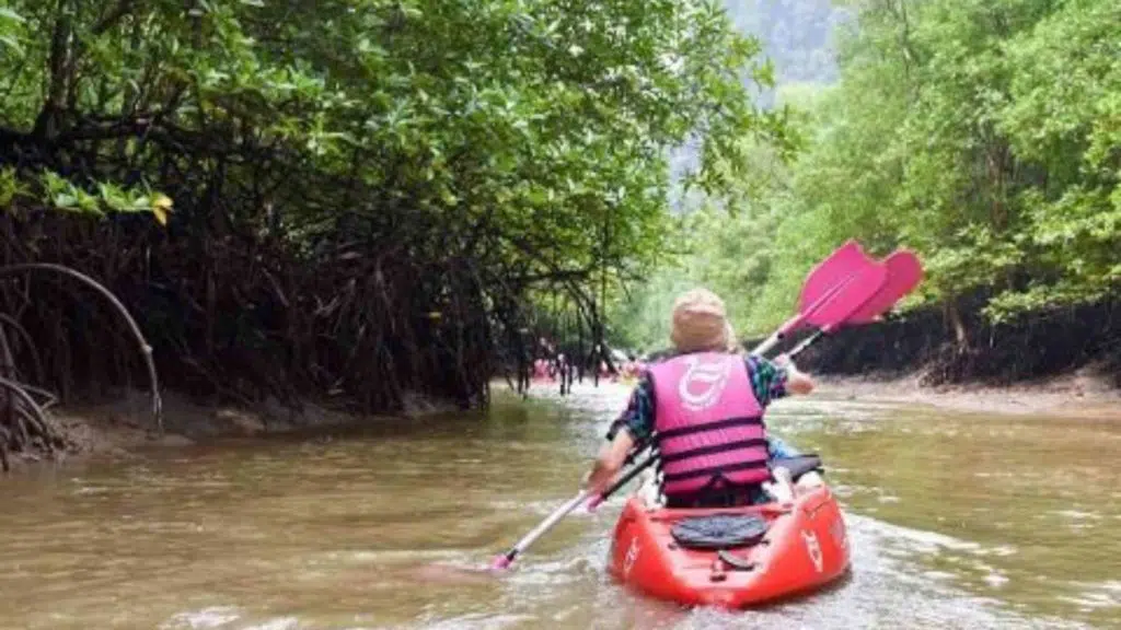 Kayak among Mangroves and Caves in Ban Bothor