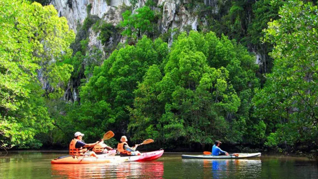 Kayak among Mangroves and Caves in Ban Bothor