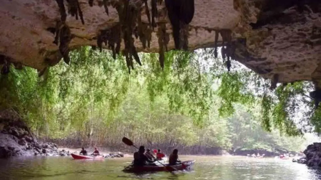 Kayak among Mangroves and Caves in Ban Bothor