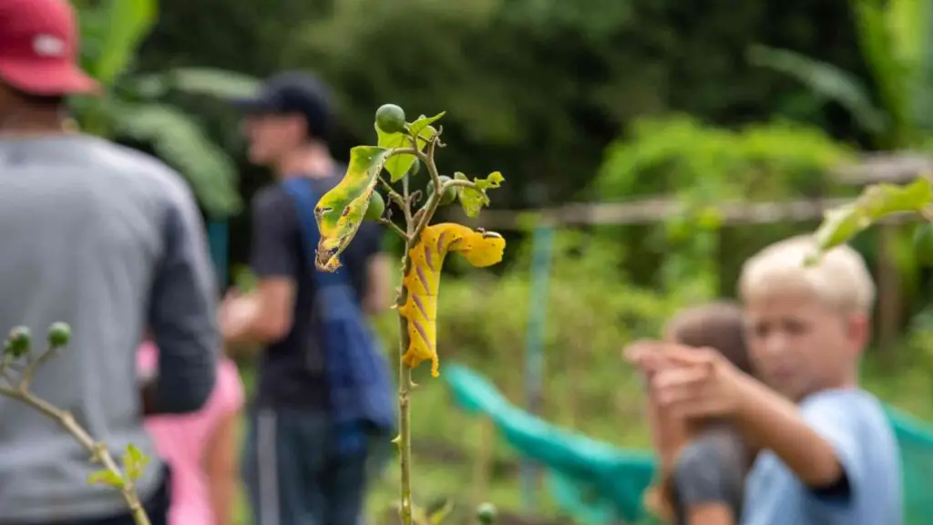 Jungle Life Kid’s Camp