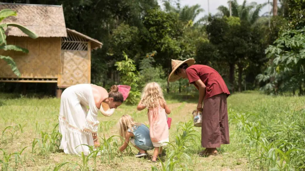 Jungle Life Kid’s Camp