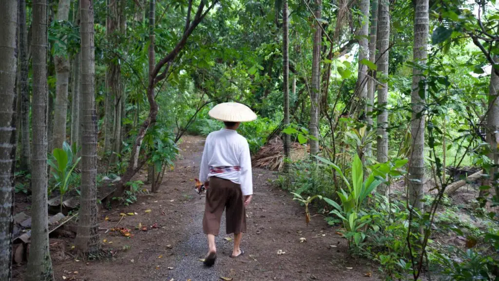 Authentic Thai Living