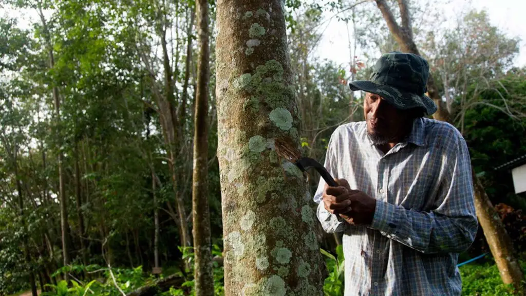 Koh Yao Yai Local Immersion