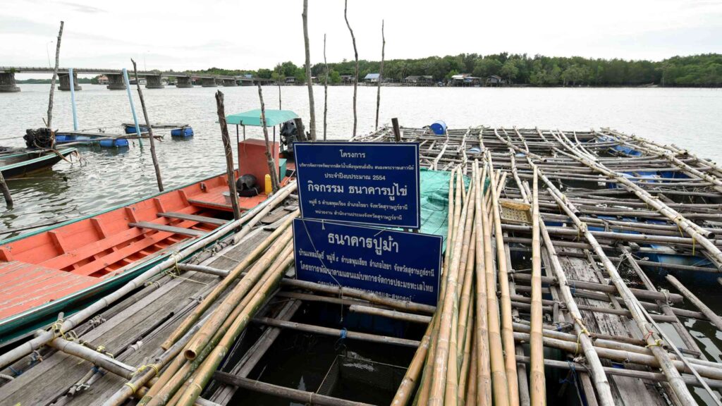 Living Like a Local in Surat Thani