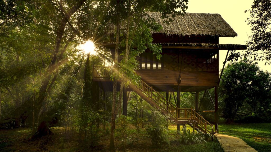 Our Jungle Camp - Eco Resort