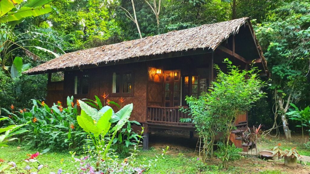 Our Jungle Camp - Eco Resort