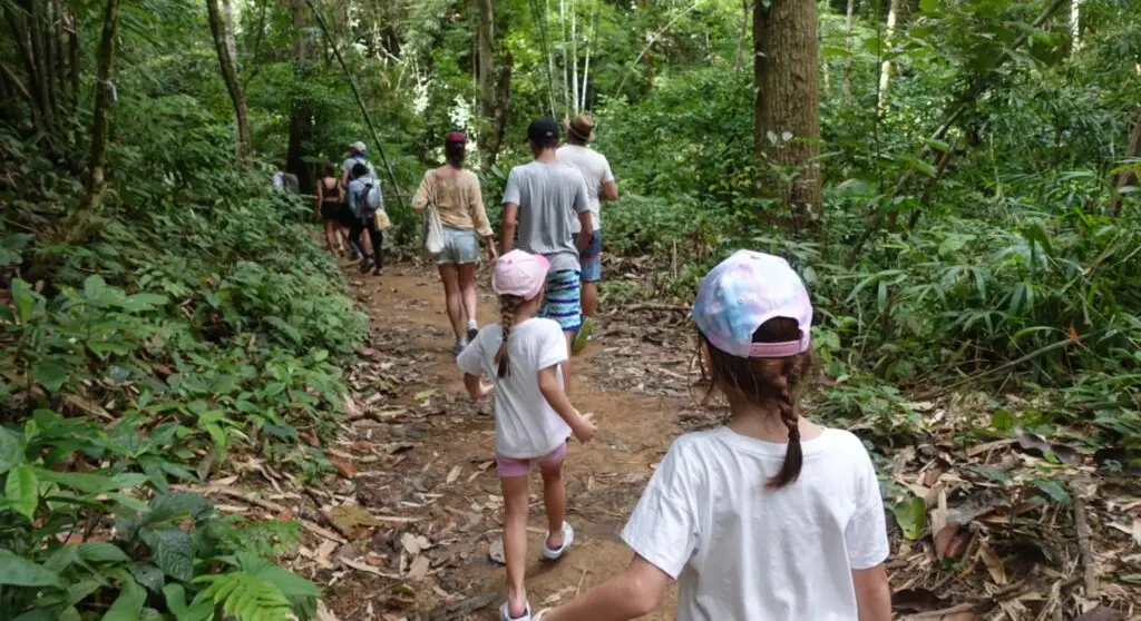 Khao Sok: Adventure to Cheow Lan Lake