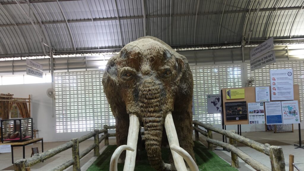 Nature's Giants: An Ethical Day of Discovery with Elephants