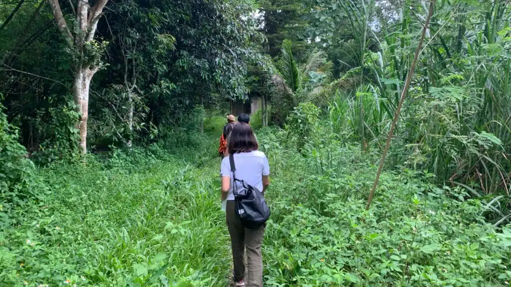 Trekking