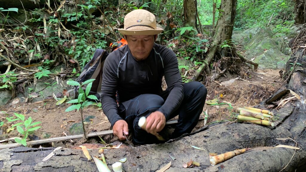 Trekking