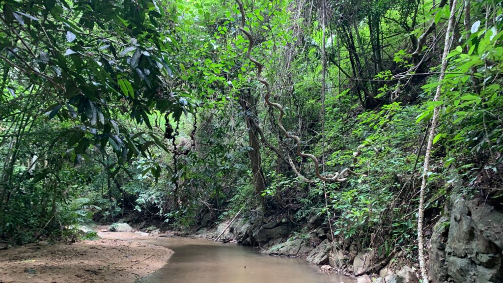Trekking