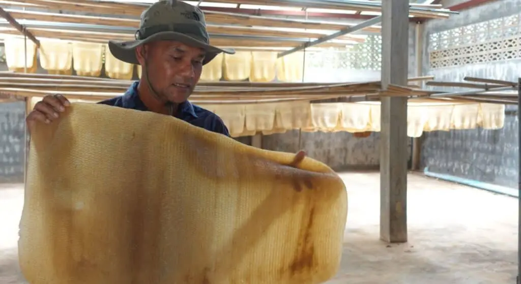 Bangrong Community Phuket