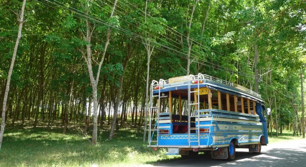 Bangrong Community Phuket