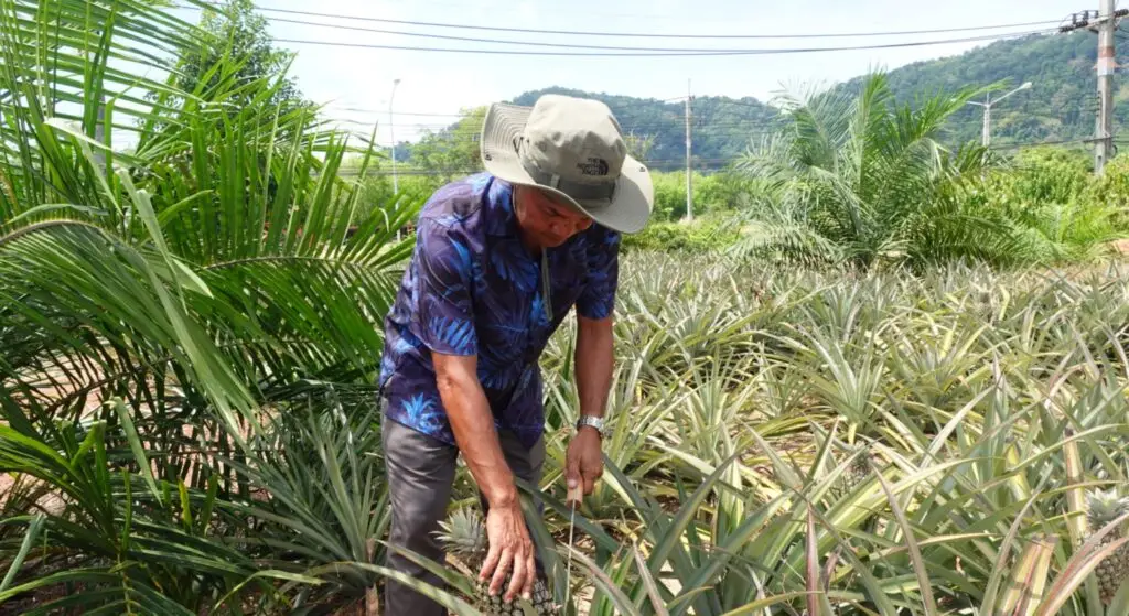 Bangrong Community Phuket