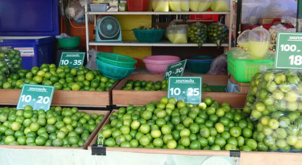 Chiang Mai Culinary Experience by Electric Tuk Tuk