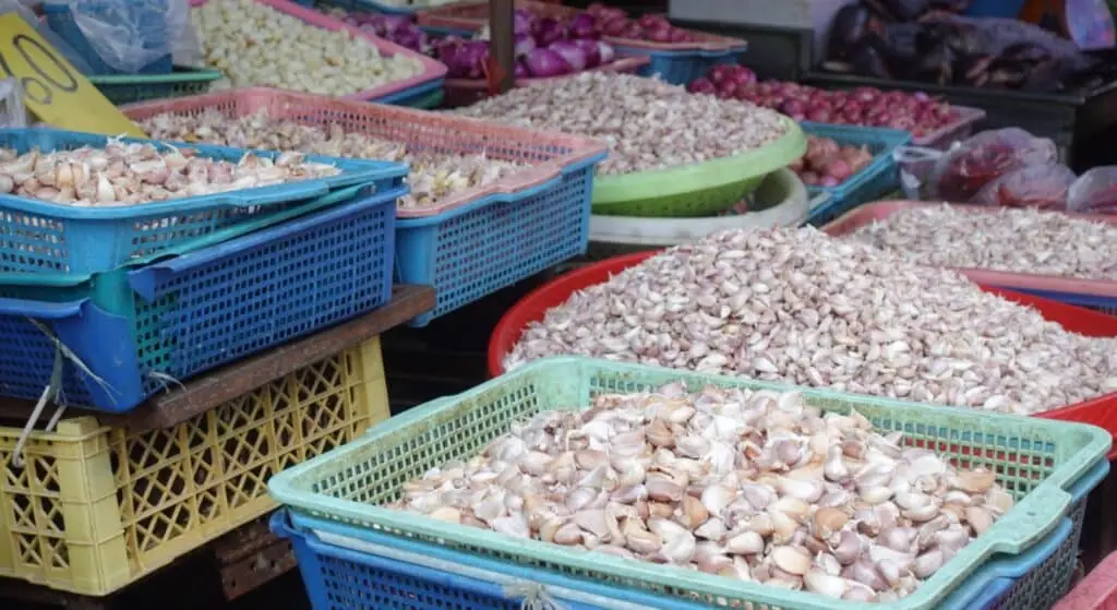 Chiang Mai Culinary Experience by Electric Tuk Tuk