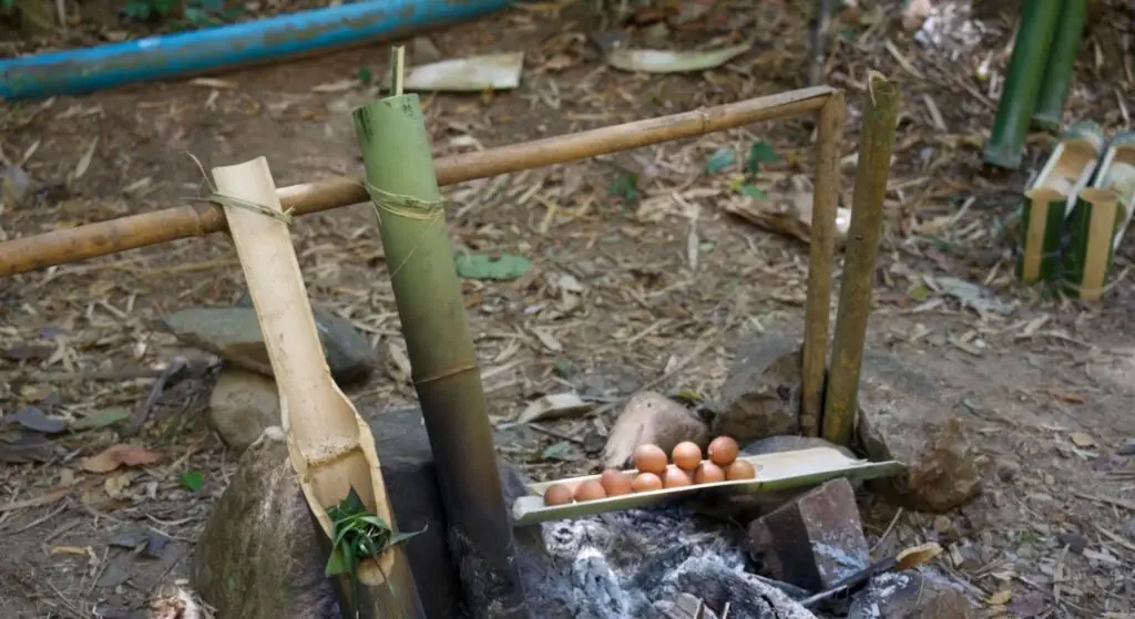 From Forest and Farm to Table: A Story of Organic Agriculture