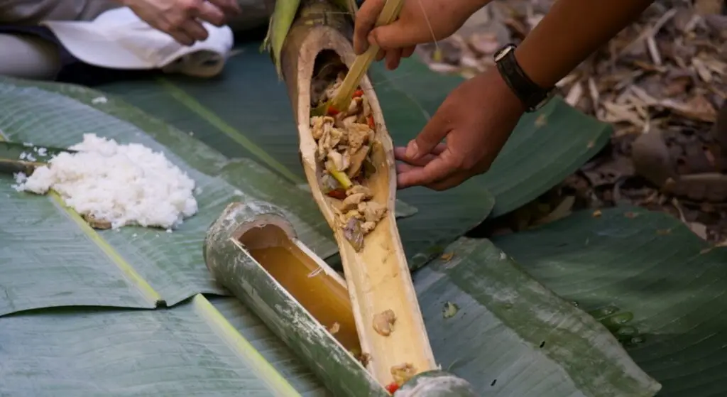 From Forest and Farm to Table: A Story of Organic Agriculture