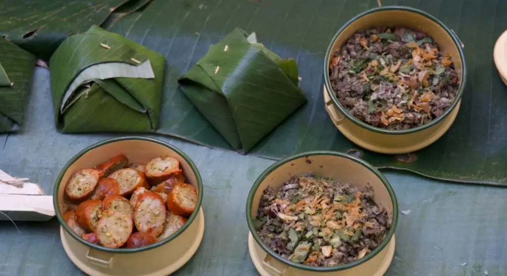 Community Cooperative Living and Organic Farmstay Experience