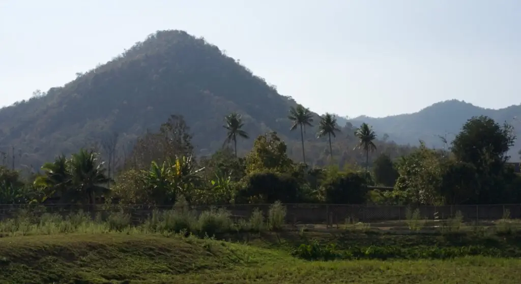 Community Cooperative Living and Organic Farmstay Experience