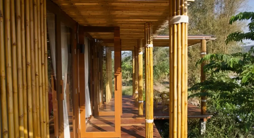 Community Cooperative Living and Organic Farmstay Experience