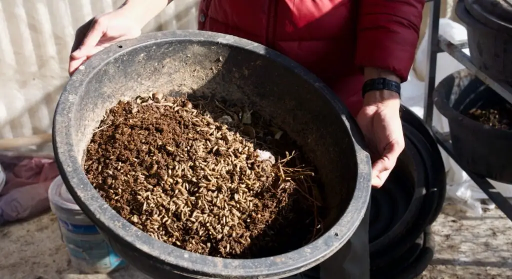 From Forest and Farm to Table: A Story of Organic Agriculture