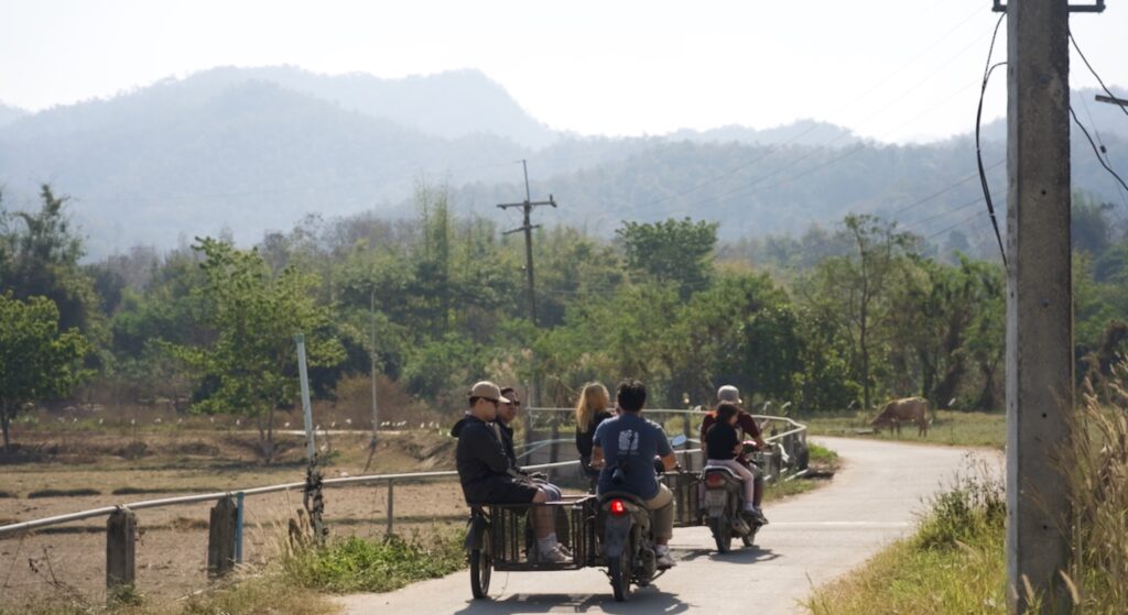 Community Cooperative Living and Organic Farmstay Experience