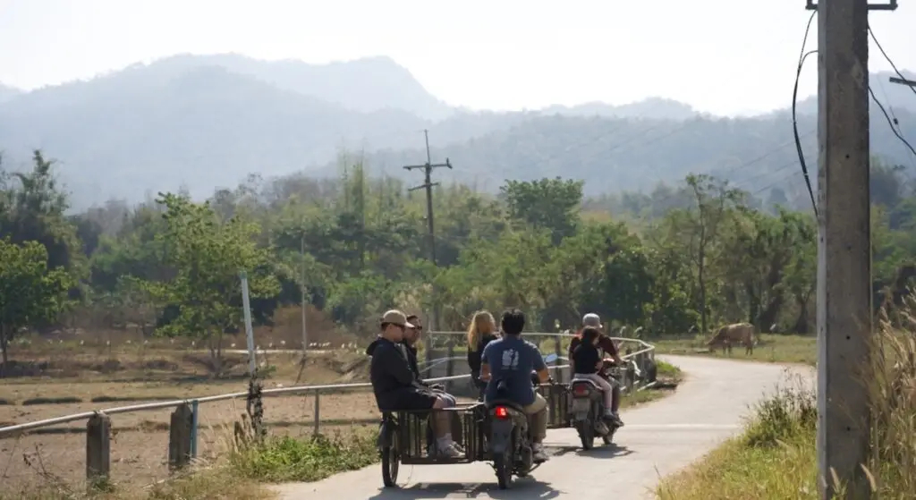 Community Cooperative Living and Organic Farmstay Experience