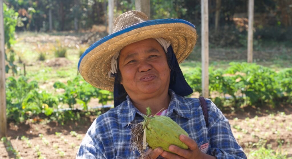From Forest and Farm to Table: A Story of Organic Agriculture