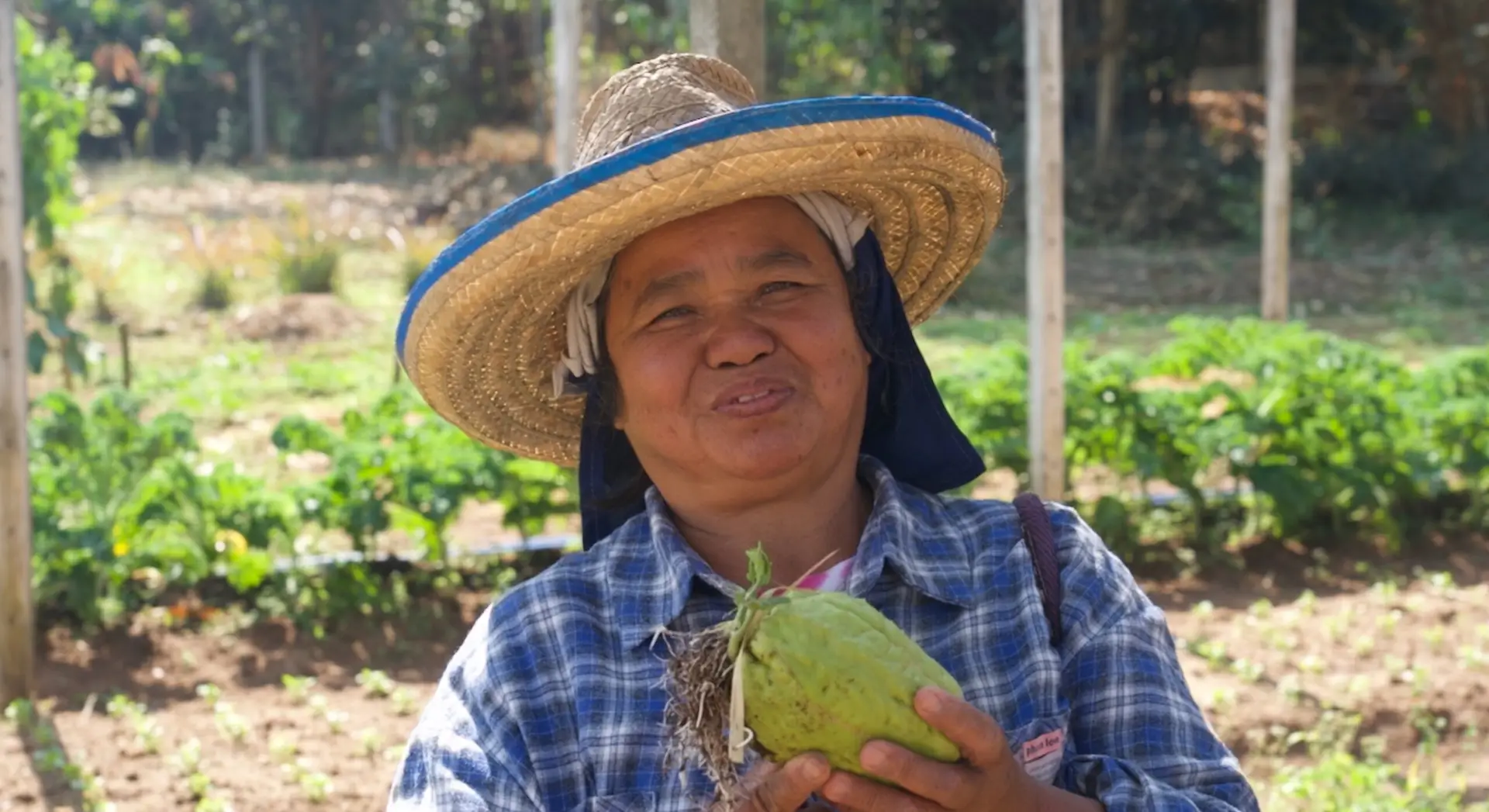 From Forest and Farm to Table: A Story of Organic Agriculture