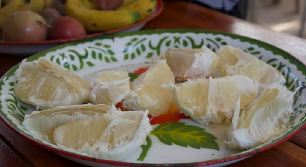 Community Cooperative Living and Organic Farmstay Experience