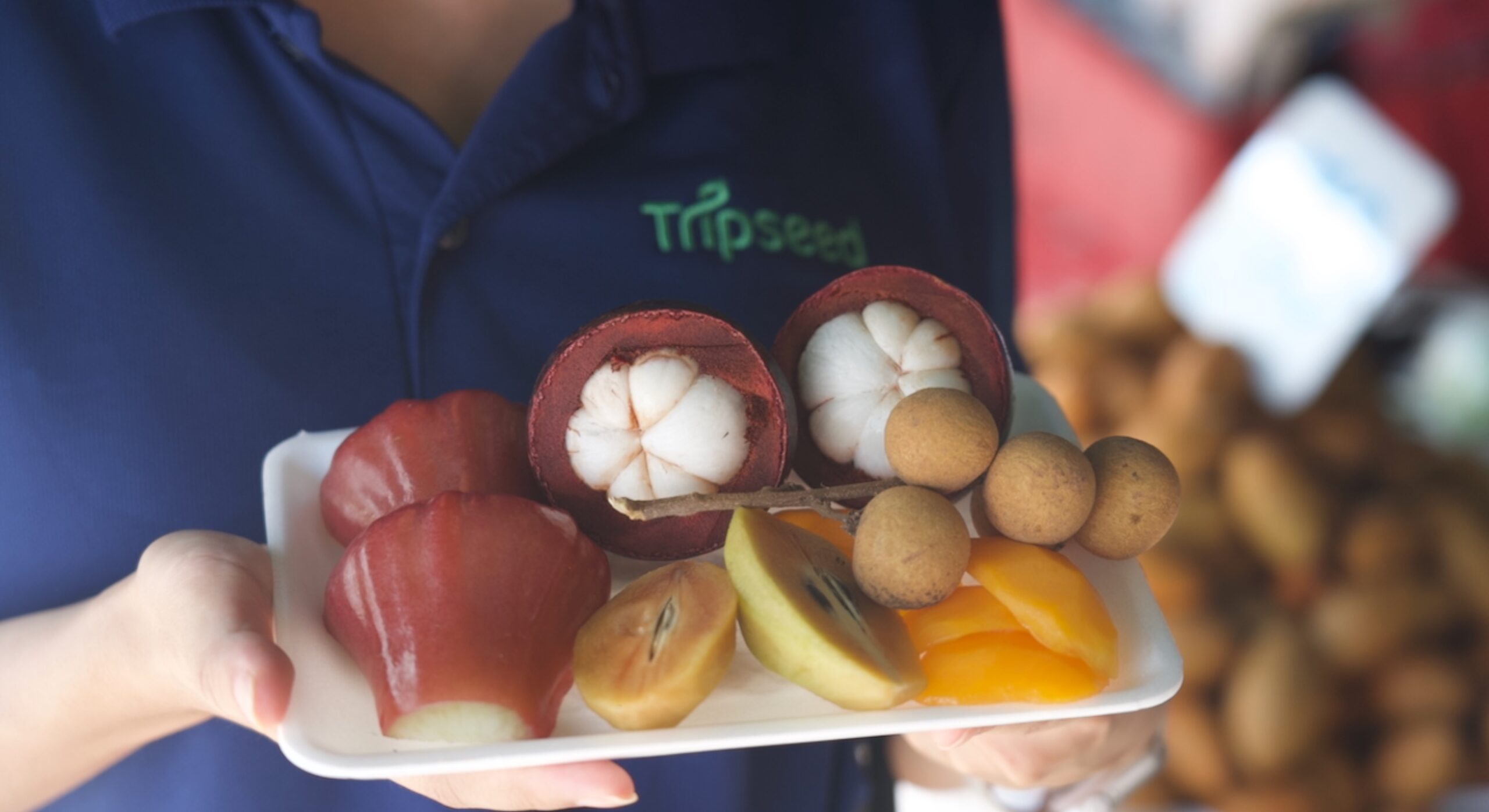 Chiang Mai Culinary Experience by Electric Tuk Tuk