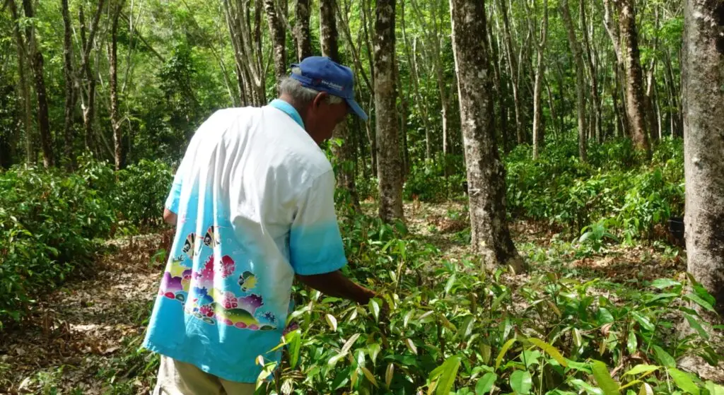 Sakhu Community. 2-2