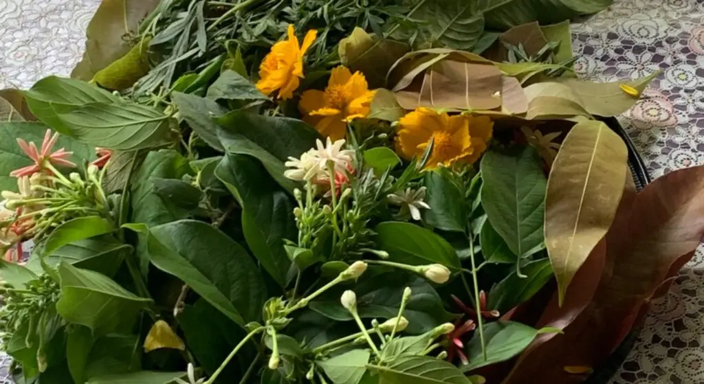 Sakhu Community. 6-2