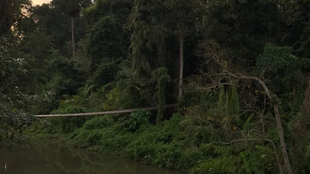 Khao Yai NIght Safari