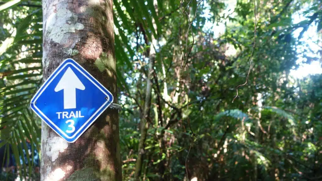 Khao Yai National Park Trek