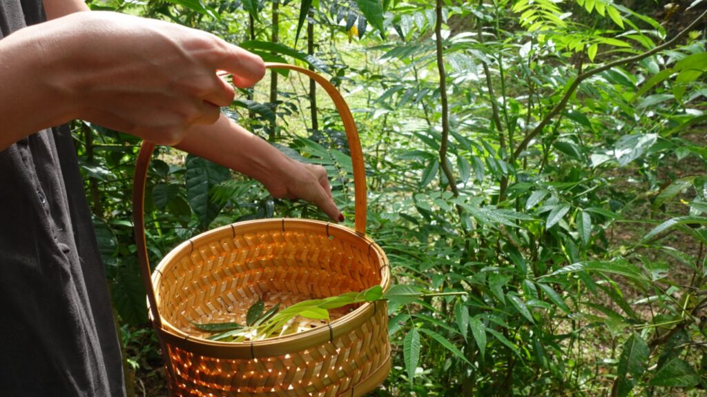 BaanThamapang Klongphel Community