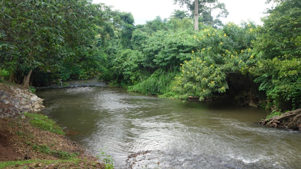 BaanThamapang Klongphel Community