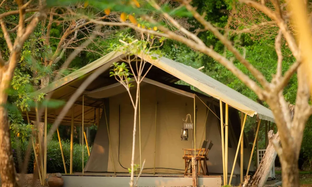 Lala Mukha Tented Resort Khao Yai ECO SAFARI TENT