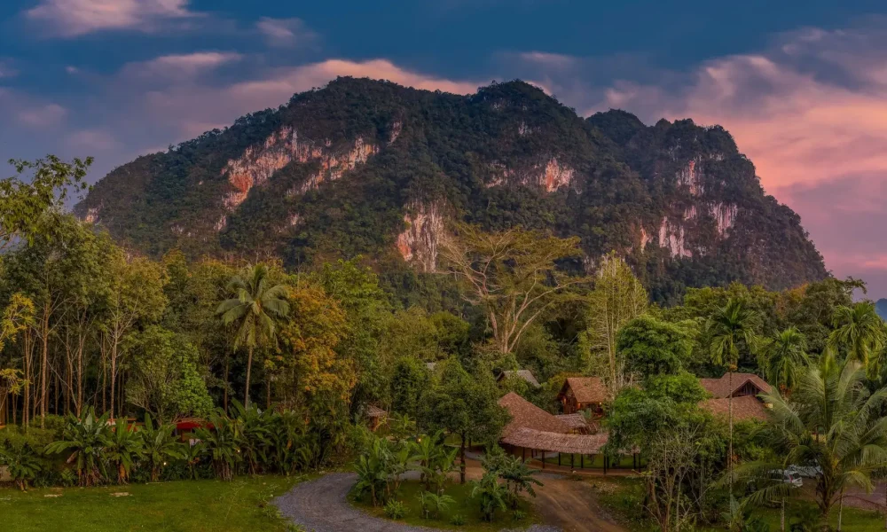 Our Jungle Camp - Eco Resort